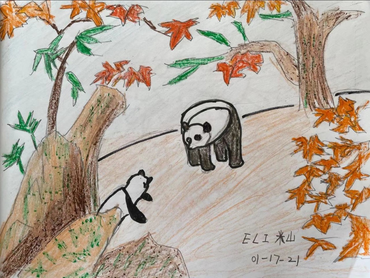 黄老师Eli-panda